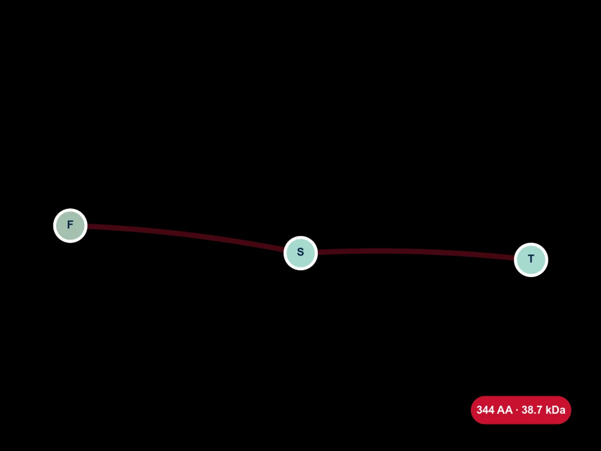 Follistatin 344 molecule diagram card