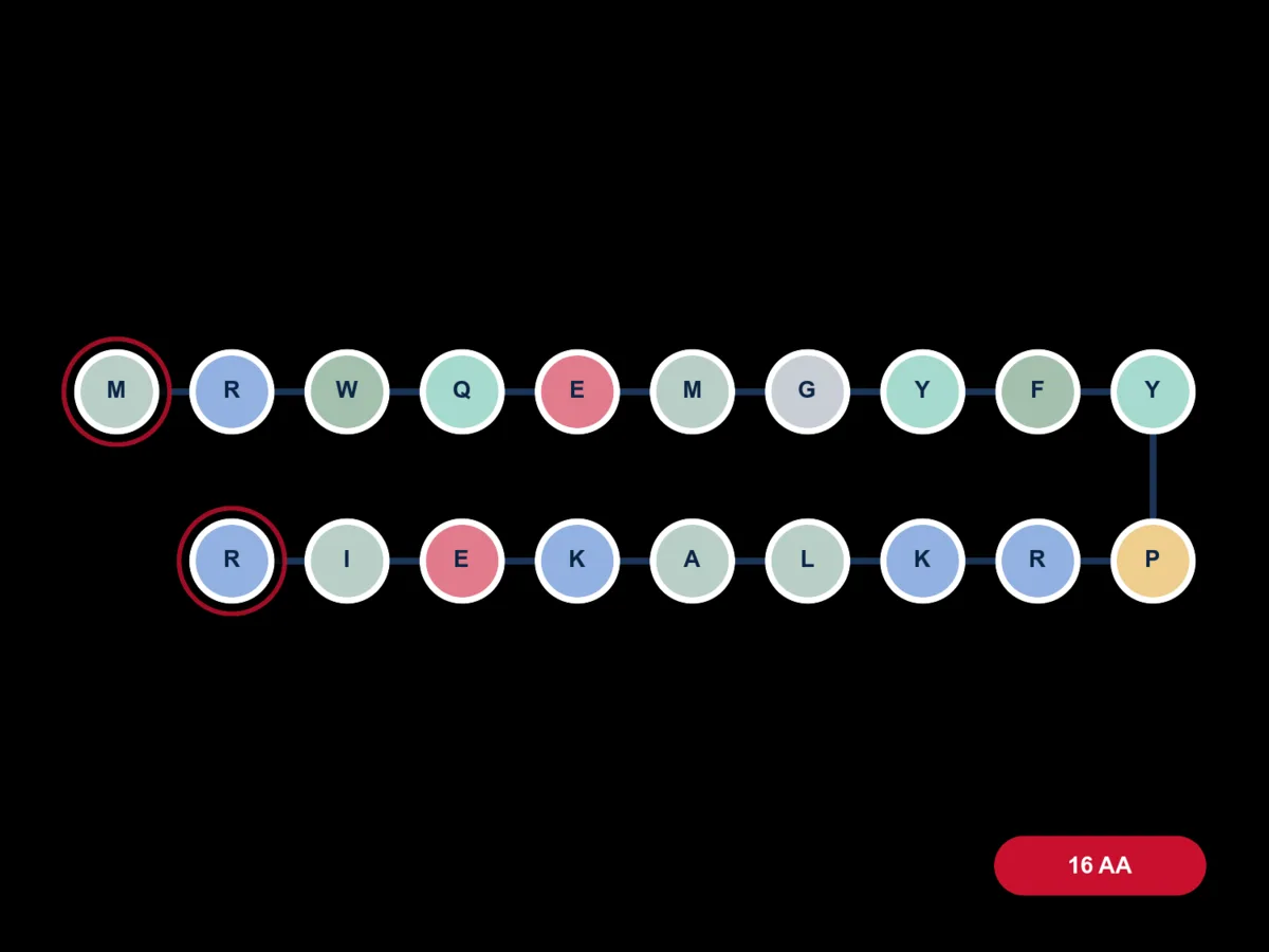 MOTS-c molecule diagram card